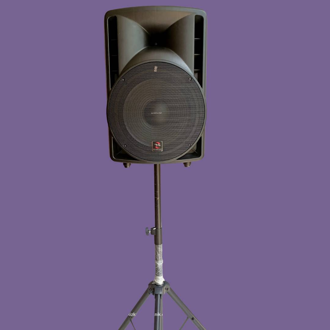 Faktor Penting yang Harus Diperhatikan Saat Sewa Sound System untuk Pesta